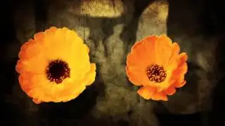 Fotostock