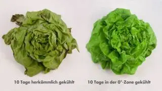 Kuehlen LongFresh