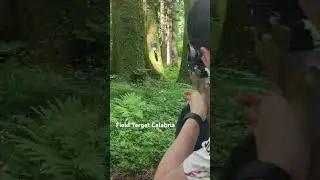 Field Target shot