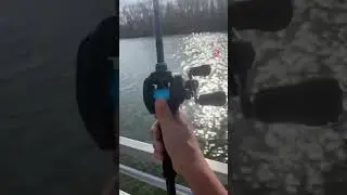 Casting Shimano Slx dc