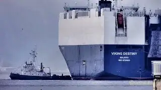 Schiffsverkehr Emden Autotransporter VIKING DESTINY V7HR6 9728863 RoRo car carrier much Ems Traffic