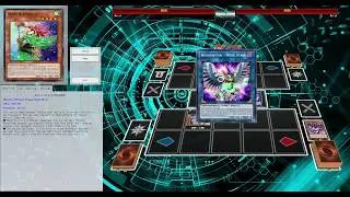 Harpie Ladies Infinite Negate Combo ft. WISE STRIX - Post MR5 Banlist