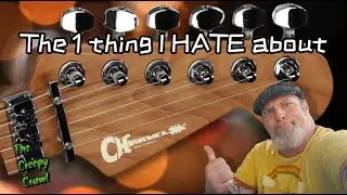 Мне бы очень хотелось, чтобы компания Charvel Guitars снова это сделала.