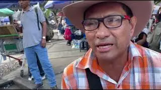 La analfabeta 