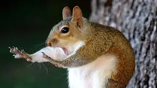 live fornite fr je stream hack kuzz ftn