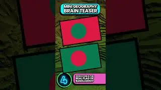 FAKE Flag Vs REAL Flag | 🤨🧠🌏 Brain Teaser #shorts