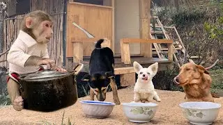 Super smart and cute!  Max came up with a cool way for dogs to play with him🐶🐶🐶