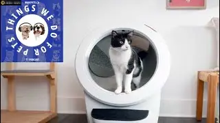 Let&rsquo;s Talk Pet Tech - Exploring the benefits of pet-focused tech innovations
