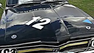 HARRY FIRTH torana XU2 V8- Tribute