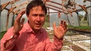 10 Tips from a Farm you can Use in Your Vegetable Garden