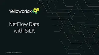 NetFlow with Yellowbrick and Silk