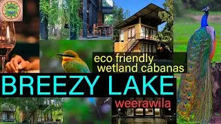 BREEZY LAKE - WEERAWILA - SRI LANKA - SUWADEEPA