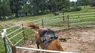 100% cowgirls!