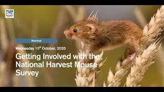 Getting Involved with the National Harvest Mouse Survey