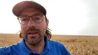 KWS Serafino hybrid fall rye agronomy.