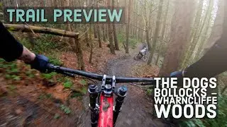 Trail Preview | The Dogs Bollocks - Wharncliffe Woods