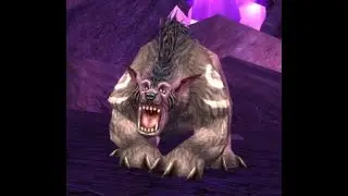 Classic WoW: Druid Bear Form Quest Walkthrough