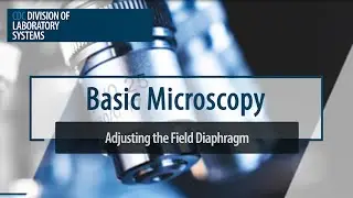 Basic Microscopy &ndash; Adjusting the Field Diaphragm