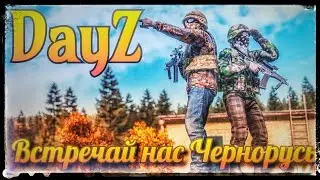 Как там Dayz? #dayz  #дейз
