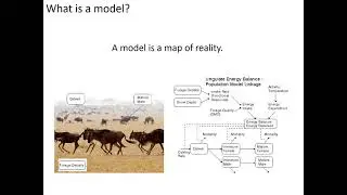 11 1 Systems Modelling Introduction