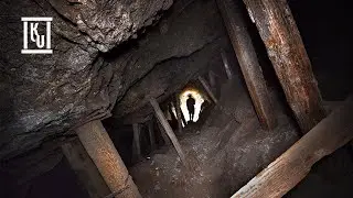 Нахождение древесного леса внутри заброшенной шахты