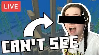 Minecraft, But I'm Blindfolded and Chat Can Speak to Me