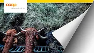Inverno contadino: una giornata tipo in un&rsquo;azienda di contadini di montagna della Valle di Blenio