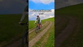 Езда на велосипеде - одно удовольствие! А что выбираешь ты? #bike #велосипед #mountains #travel