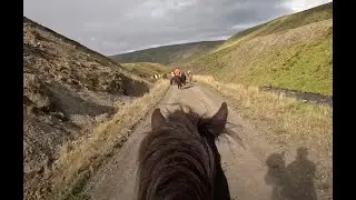 One of the coolest experiences I've ever had on a horse!
