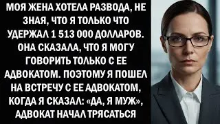 МОЯ ЖЕНА ХОТЕЛА РАЗВОДА, НЕ ЗНАЯ, ЧТО Я ТОЛЬКО ЧТО УДОВЛЕТВОРИЛ 1 513 000 ДОЛЛАРОВ  ОНА СКАЗАЛА,