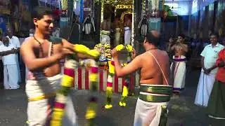 மாலை மாற்றுதல் வைபவம் திருநகர் பெருமாள் கோவில்