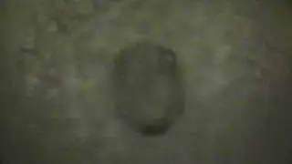 flushing things down the toilet