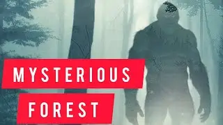 LEGENDS OF BENNINGTON TRIANGLE | Horror Stories