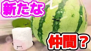 【アニメ#10】ライバル出現？！激闘の最後は・・・【ひみつのおるすばん/ROBLOX/ロブロックス】
