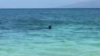 elementary backstroke