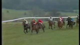 1983 Champion Hurdle  Full Race + Replay