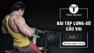 Các bài tập thể hình rất quan trọng cho cơ Lưng | THCS