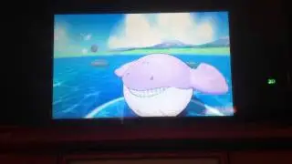 ORAS Pokemon Shiny Showcase Episode 142-Shiny Wailmer/Wailord( Offscreen)