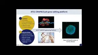 Engineering Isogenic Melanoma Models Webinar