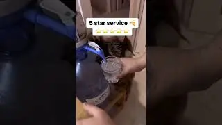 5 star service 🫡