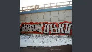 Nieważne (feat. Manewell & BRUD BOYZ)