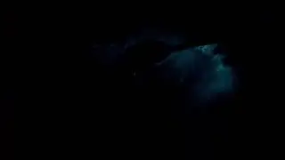 Bioluminescent Kayak Tour Paquera bay Costa Rica