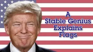 A Stable Genius Explains Flags