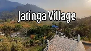 Jatinga Valley | Jatinga Bird Mystery | Dima Hasao, Assam~2024