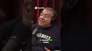 Joe Rogan  Internet's Impact, Politics, and Reality Check!
