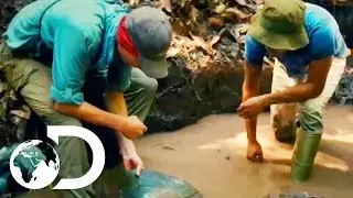 Parker Learns How To Prospect For Gold Guyana Style | Gold Rush: Parker's Trail