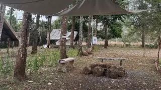 Peaceful Camping Site in Paksong, Laos 🌿⛺ | Quiet Weekend Camp Life