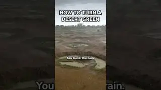 Как сделать пустыню зеленой