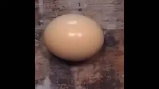 shitpost status