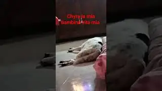 chyra la mia bambina vita mia